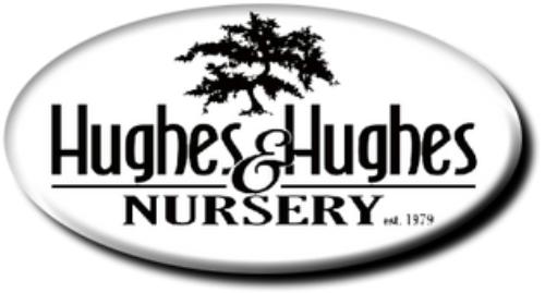 hughes-and-hughes